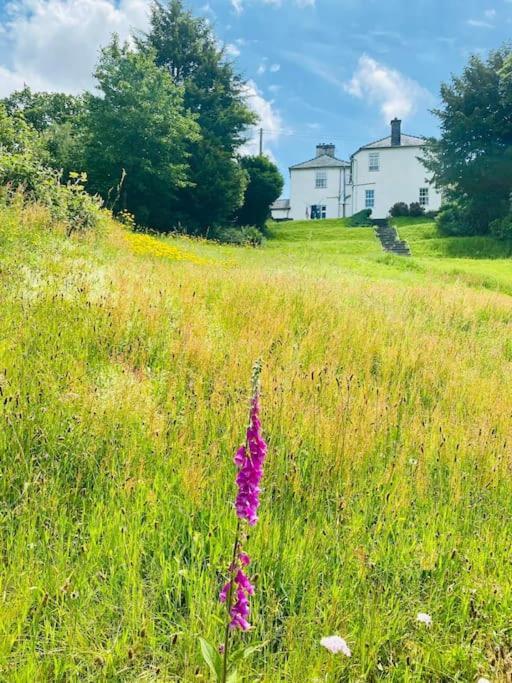 Aberhiriath Hall - The Old Georgian Manor House By The River Dyfi Cemmaes Exterior foto